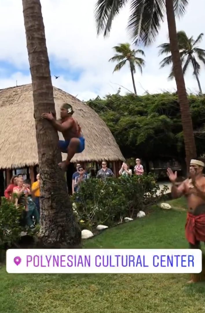 hawaiian climb on a tree in hawaii